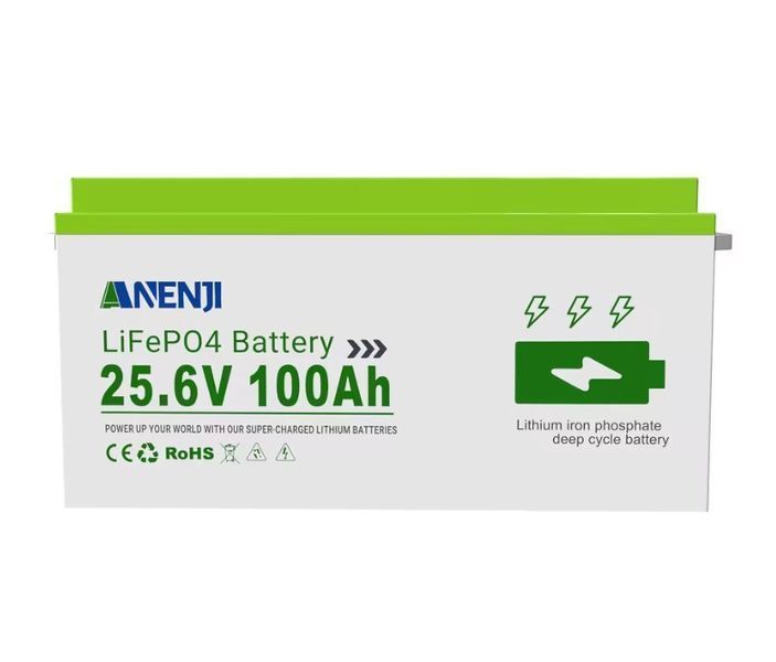 Комплект ANENJI 4,2 кВт + ANENJI 25,6 В 100 А час 614606645-2 фото