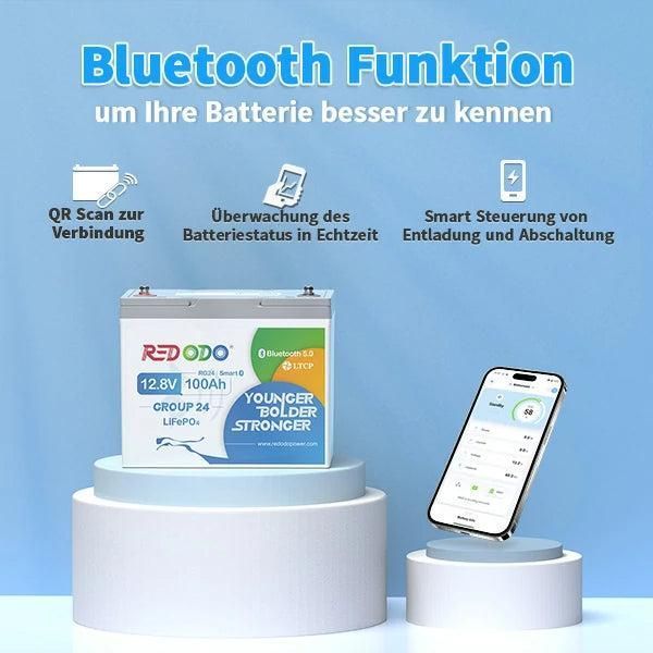 Аккумулятор LiFePO4 Redodo Gruppe24 12.8V 100А&middot;ч 1280 Wh | Bluetooth BMS >4000 циклов, литий-железо-фосфатная батарея red12100gr24 фото