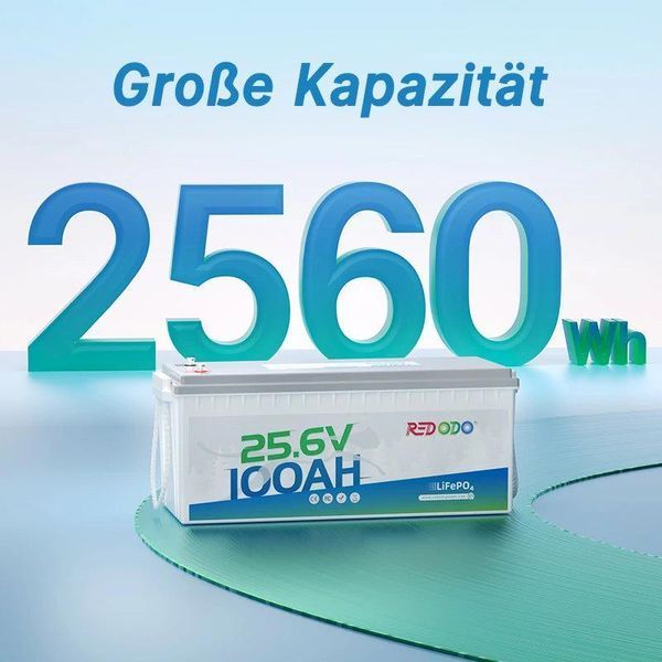 Акумулятор LiFePO4 Redodo 24V 100А&middot;год 2560 Wh | BMS >4000 циклів, літій-залізо-фосфатна батарея 2826531870 фото
