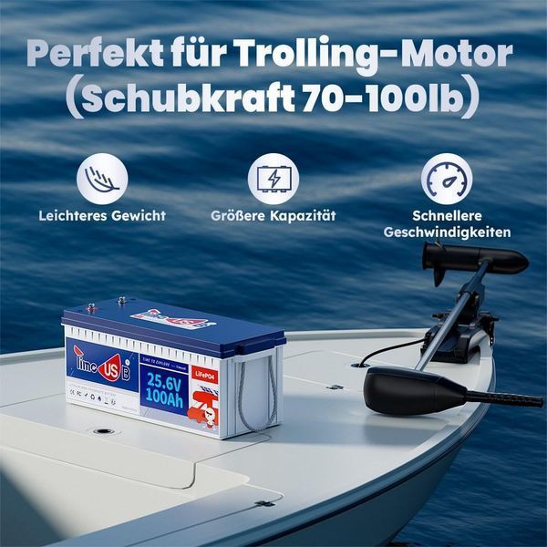 Аккумулятор LiFePO4 TimeUSB 24V 100Ah 2560Wh | BMS, >4000 циклов, литий-железо-фосфатная батарея time24100 фото