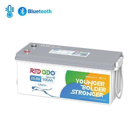 Акумулятор LiFePO4 Redodo 24V 100А&middot;год 2560 Wh | Bluetooth BMS >4000 циклів, літій-залізо-фосфатна батарея red24100bt фото
