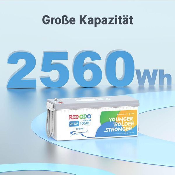 Акумулятор LiFePO4 Redodo 24V 100А&middot;год 2560 Wh | Bluetooth BMS >4000 циклів, літій-залізо-фосфатна батарея red24100bt фото