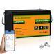 Аккумулятор LiFePO4 Eco-Worthy 25.6V 100Ач 2560Wh Bluetooth | BMS, >4000 циклов, литий-железо-фосфатная LiFePO4 24V 100Ah  (L13070402010-1) фото 2